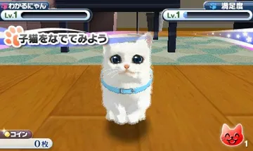 Kawaii Koneko 3D(Japan) screen shot game playing